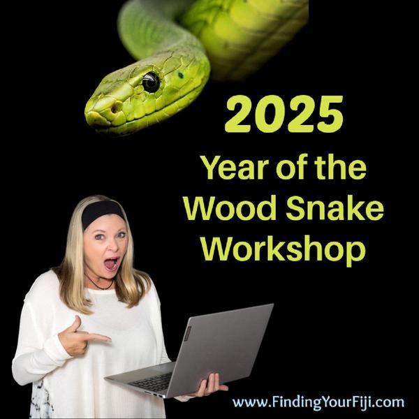 Watch the RECORDING of Year of the Wood Snake Workshop
