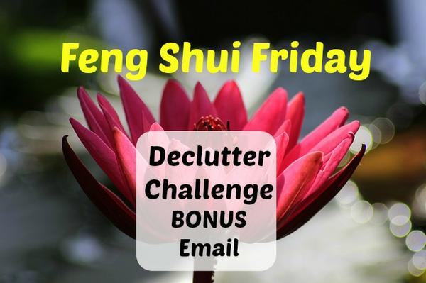  Declutter Challenge BONUS Email