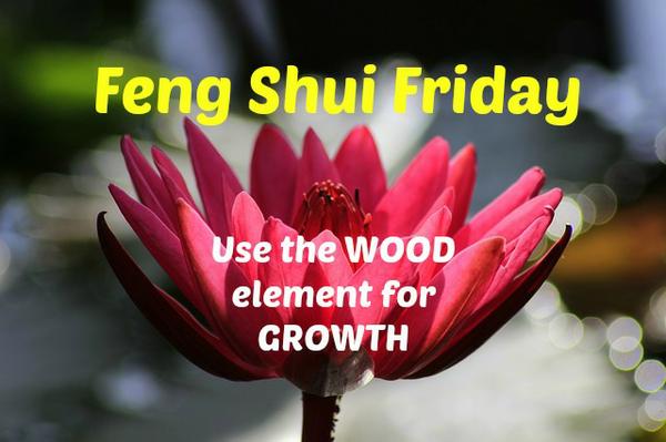  Feng Shui Elements help shift and balance energy in your home, life, relationships, career, finances and more! 