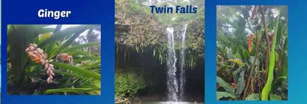 Twin Falls hike with friends