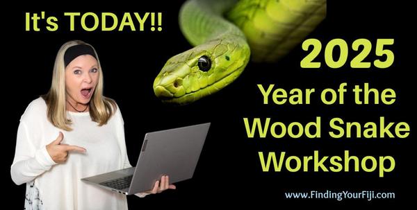 JOIN me for the Year of the Wood Snake Workshop
