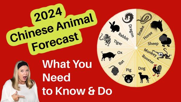 Your 2024 Chinese Animal Forecast Video