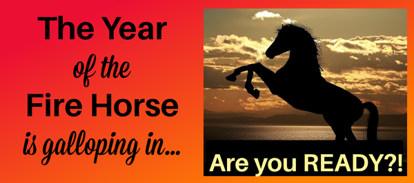 Year of Fire Horse workshop sets you up for success for the new year.