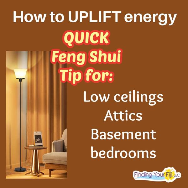 Need more help with Feng Shui? Book a consult! 