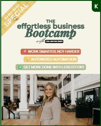  The Effortless Business Bootcamp is 1/2 price right now!