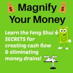 Save your spot for the Magnify Your Money workshop