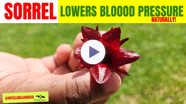 😲Doctors Agree... THIS Plant Lowers Blood Pressure Naturally! #sorrel