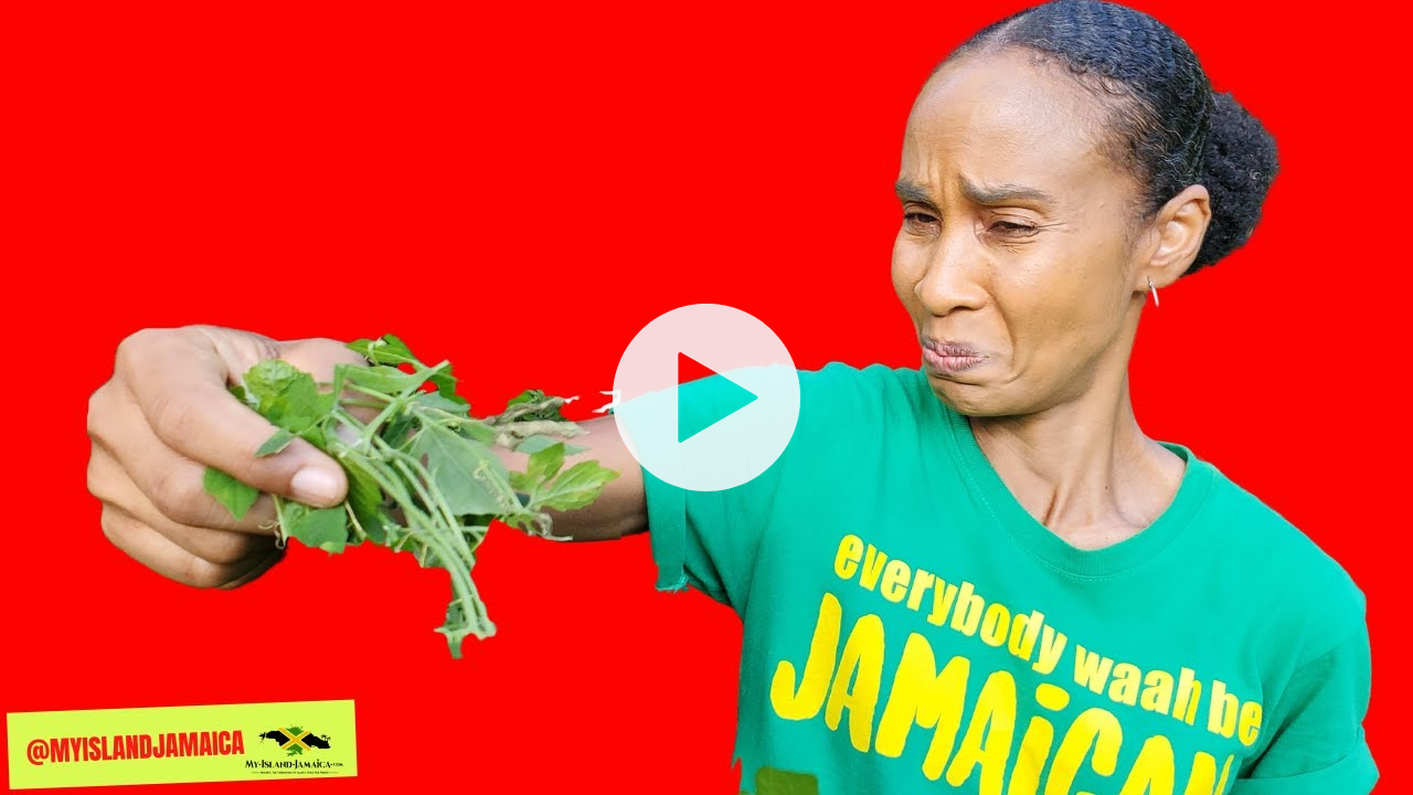 ⚠ CAUTION! THIS thing is Extremely BITTER! 😝🌿 (but it makes you BETTER ☺) #bittermelon #cerasee
