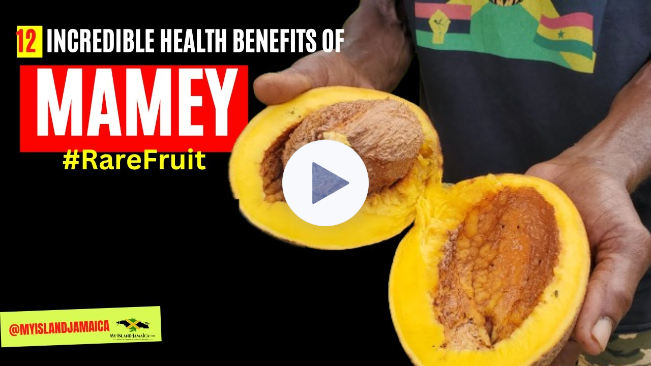 Incredible health benefits of Mamey Sapote