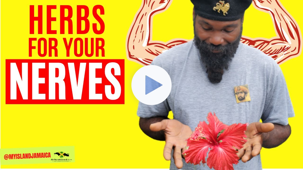 7 INCREDIBLE (but Overlooked) HERBS To Soothe Your NERVES! #homeremedies 🇯🇲