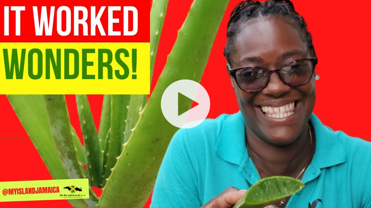 😲I TRIED IT and it WORKS! The MIRACLES Of Aloe Vera! [ #MedicinaHerbs Of #Jamaica ]