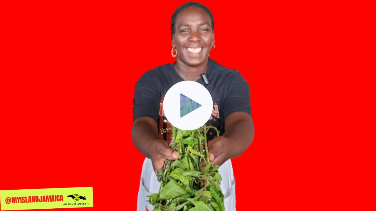 💪🏿 BOOST Fertility with these 7 POTENT Herbs ! #homeremedies 🇯🇲 #herbal