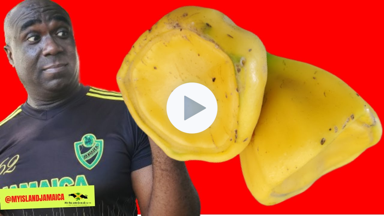 A WEIRD, UNUSUAL (but Nutrient-Rich) Fruit Is Discovered in Jamaica 😲 #cactusrose