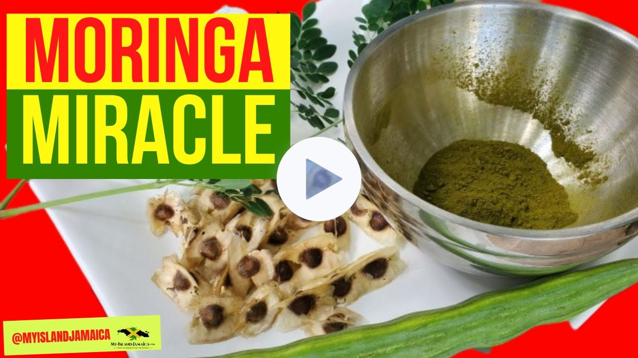 7 POWERFUL 💪🏿 Health Benefits Of #MORINGA 🇯🇲 - The Miracle Plant 🌿👆🏿