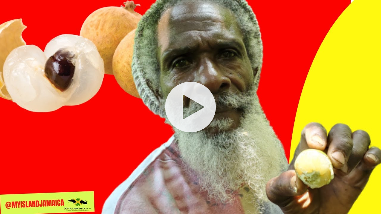 😲 Have You Seen THIS Fruit Before? The CHINESE GUINEP! #strangefruits #JamaicanFruits