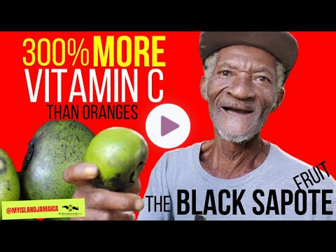 😲REVEALED! Potent Health Benefits Of The #BlackSapote 🍈- In STORIES & testimonies!