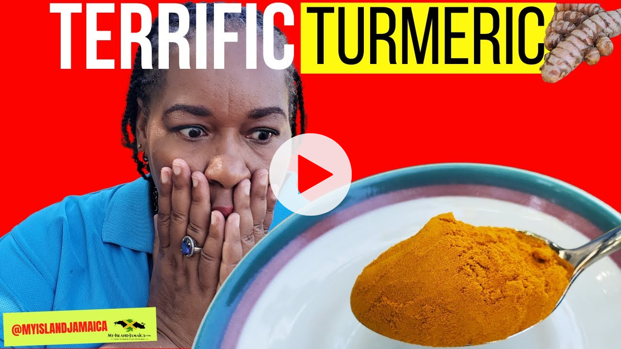 😲 Over 1 BILLION Persons Use TURMERIC Daily? #medicinalplants of 🇯🇲 |
