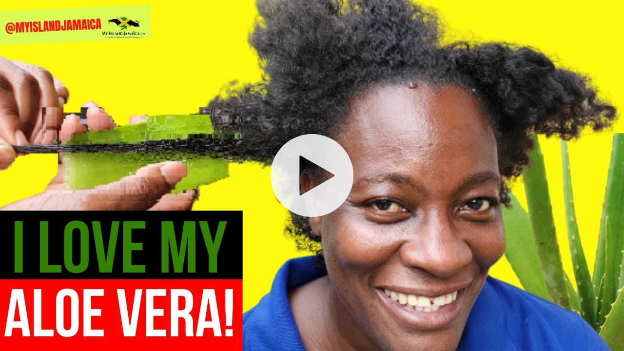 AMAZING! I'd Never guess ALOE VERA could do THIS for my HAIR!😁😁 #MedicinalPlants Of #Jamaica