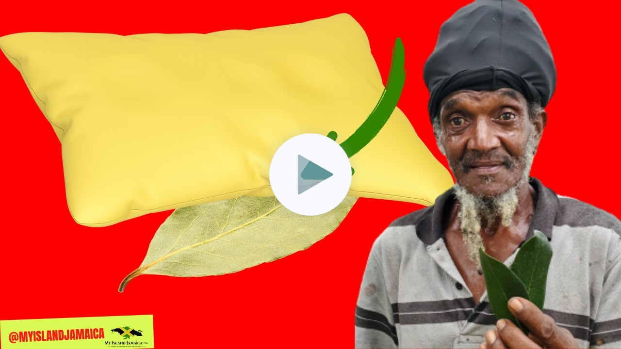 😳Put a BAY LEAF Under Your Pillow And See What Happens 🇯🇲#bayleaves #herbal