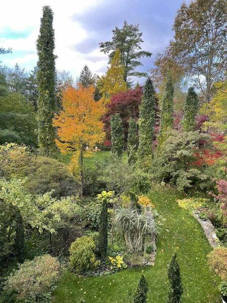 Ken's fall garden