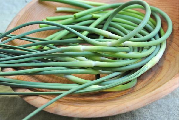 on the menu: garlic scapes