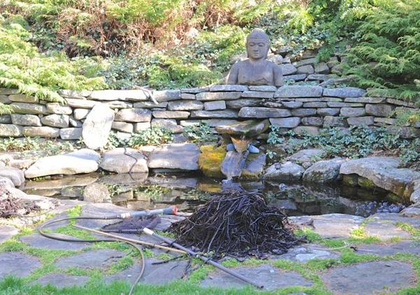 spring cleaning of the water garden
