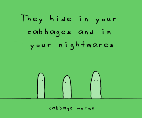 cabbage worms doodle by andre