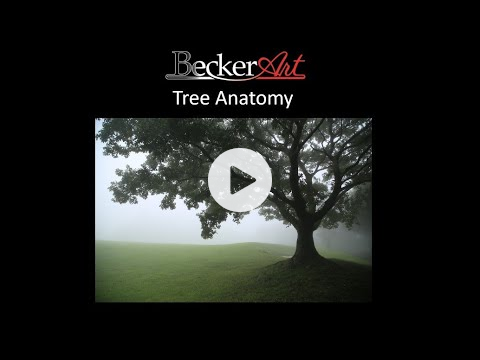 BeckerArt Tree Anatomy Tip for Painting Trees