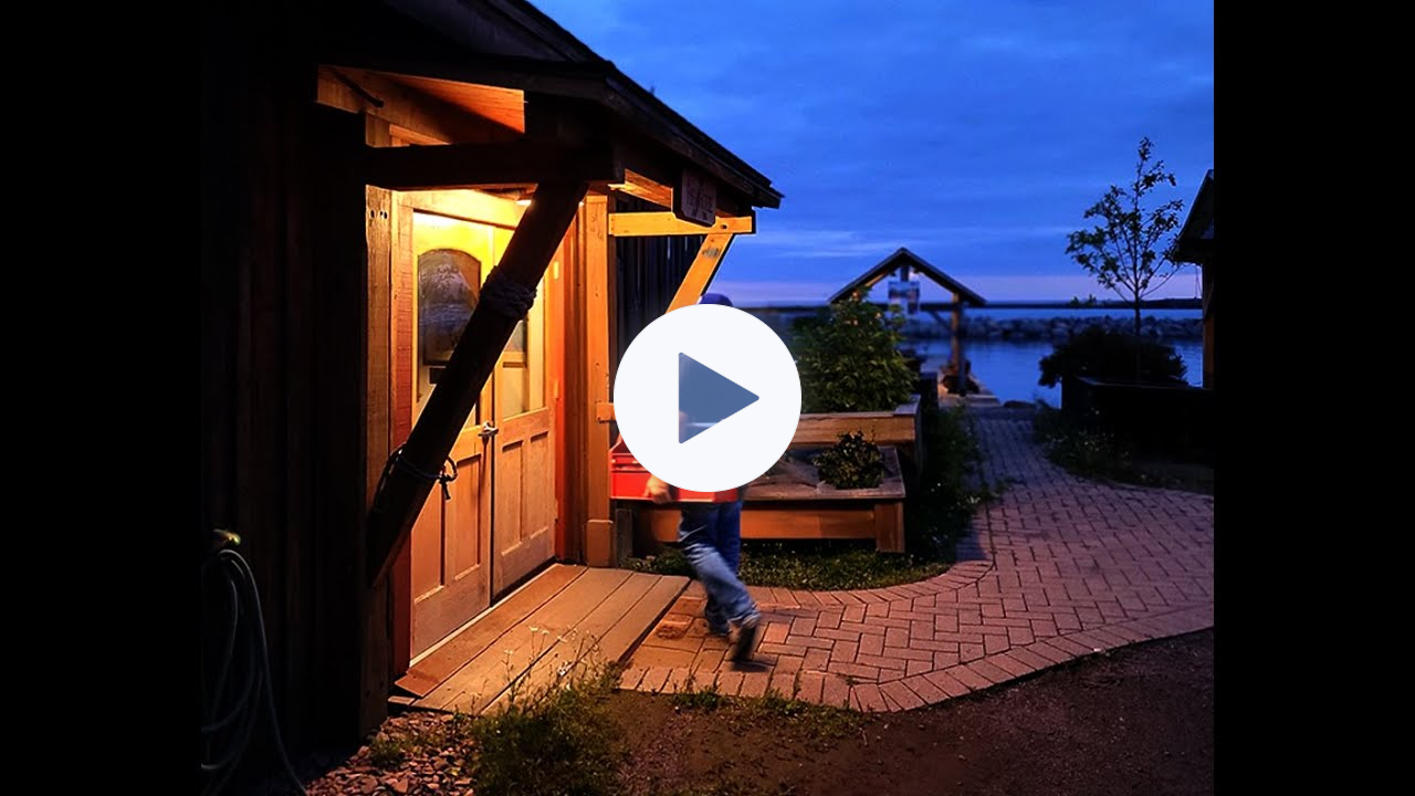 Learn Watercolor and Gouache with an evening scene Paint-a-long