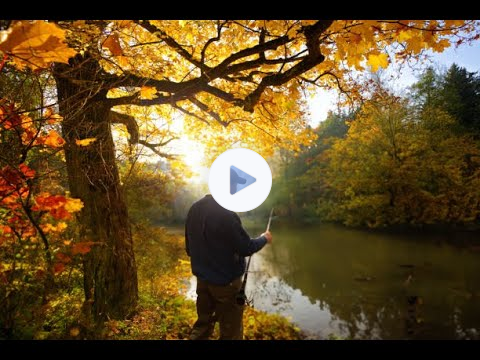 BeckerArt Fisherman under Autumn Trees