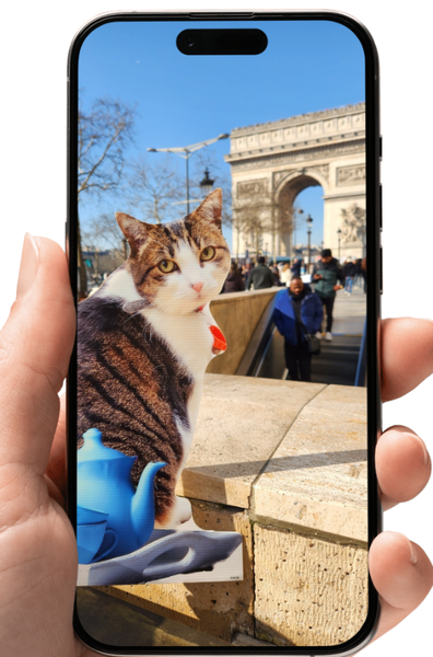 mobile phone screen showing Flat Muesli in Paris
