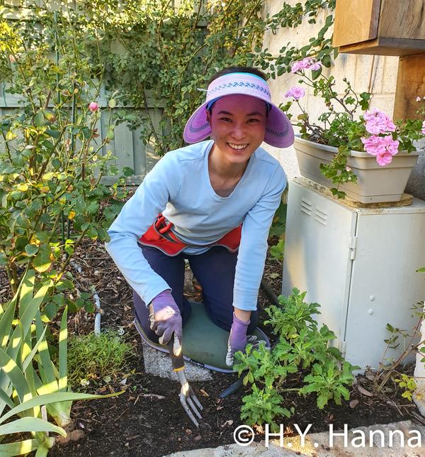 Image - winter gardening