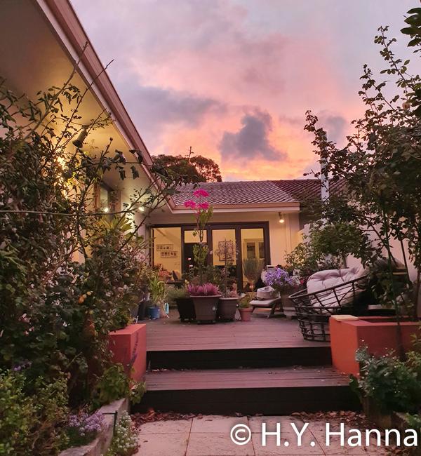 Image - Sunset in my garden, Western Australia