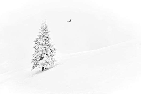 deas to Inspire Your Wintertime Photography