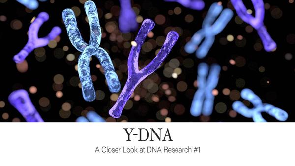 Y-DNA: A Closer Look at DNA Research #1