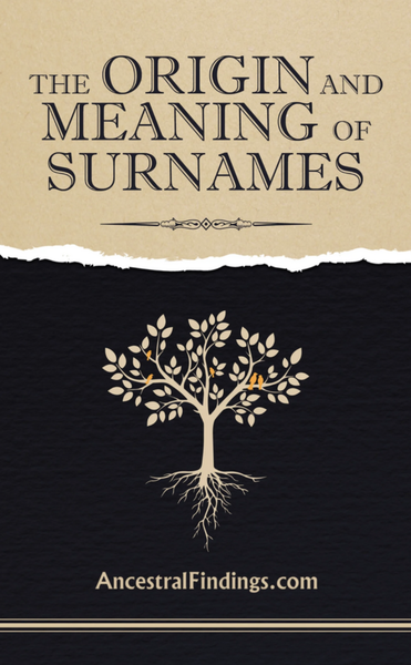 The Origin and Meaning of Surnames (PDF Book)