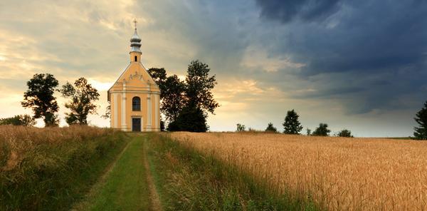 Your Polish Surname and its Meaning