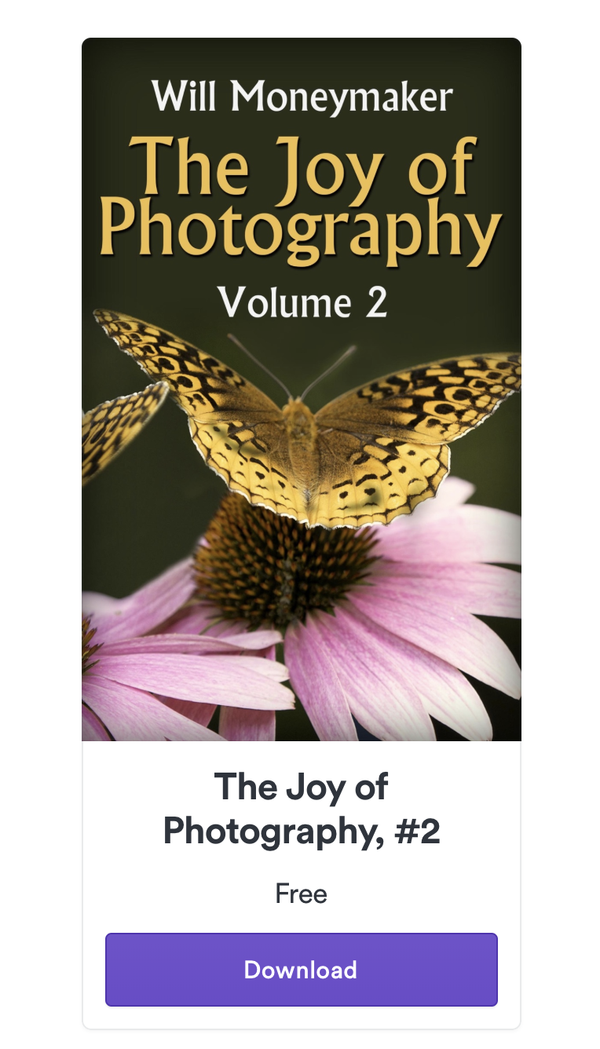 The Joy of Photography #2