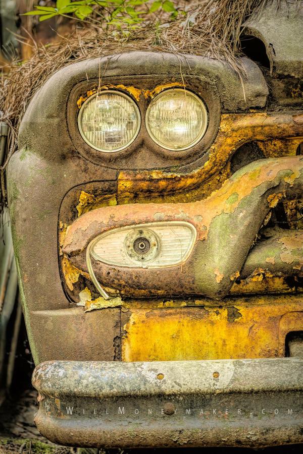 Old Car City: When Nature and Old Cars Collide, It Makes Something Beautiful