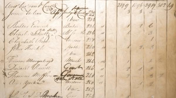 A Closer Look at the 1790 US Federal Census