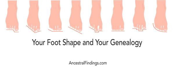 Your Foot Shape and Your Genealogy