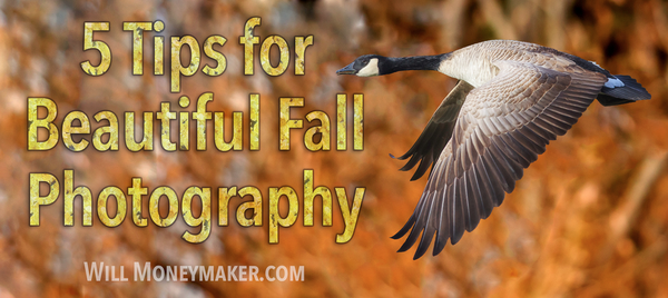 5 Tips for Beautiful Fall Photography