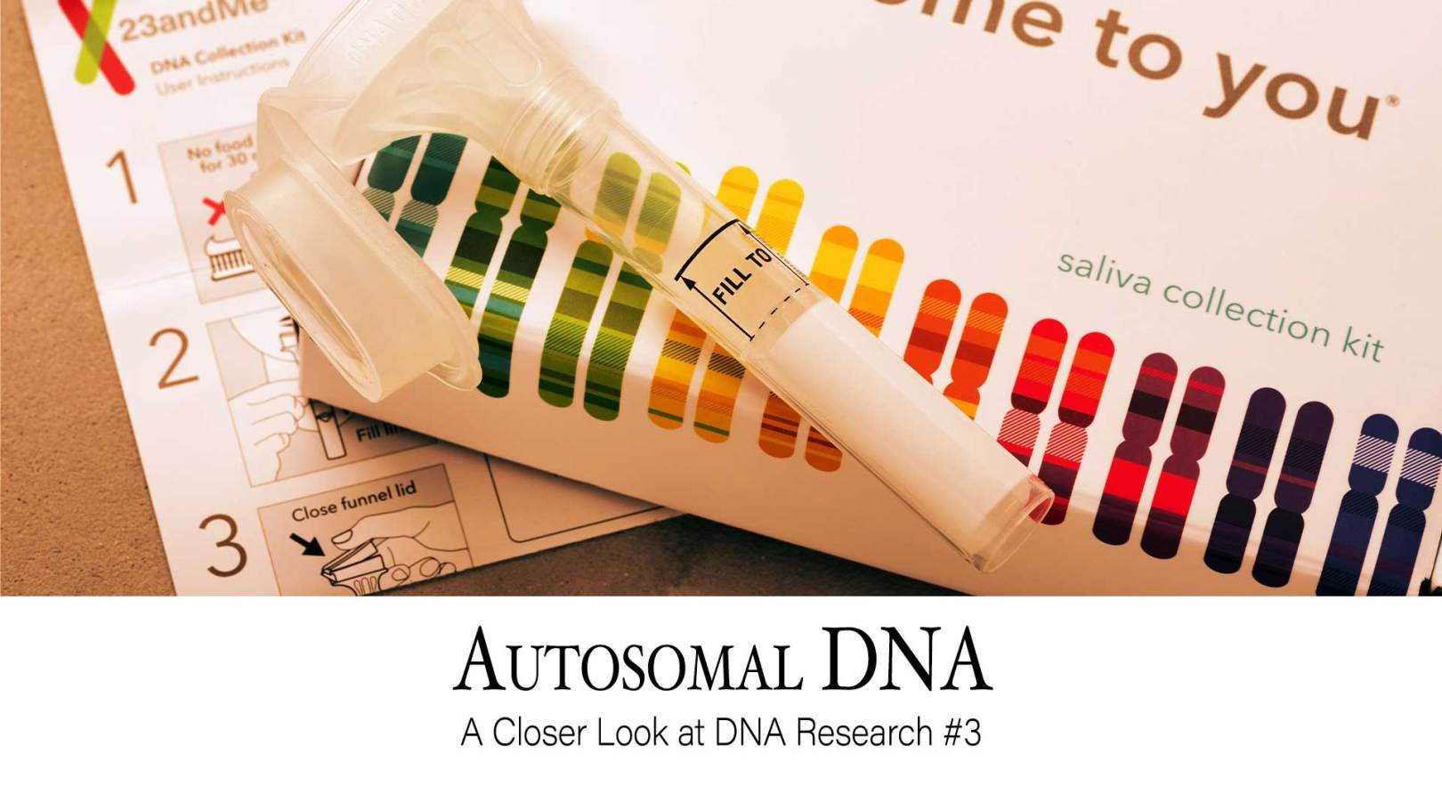 Autosomal DNA: A Closer Look at DNA Research #3