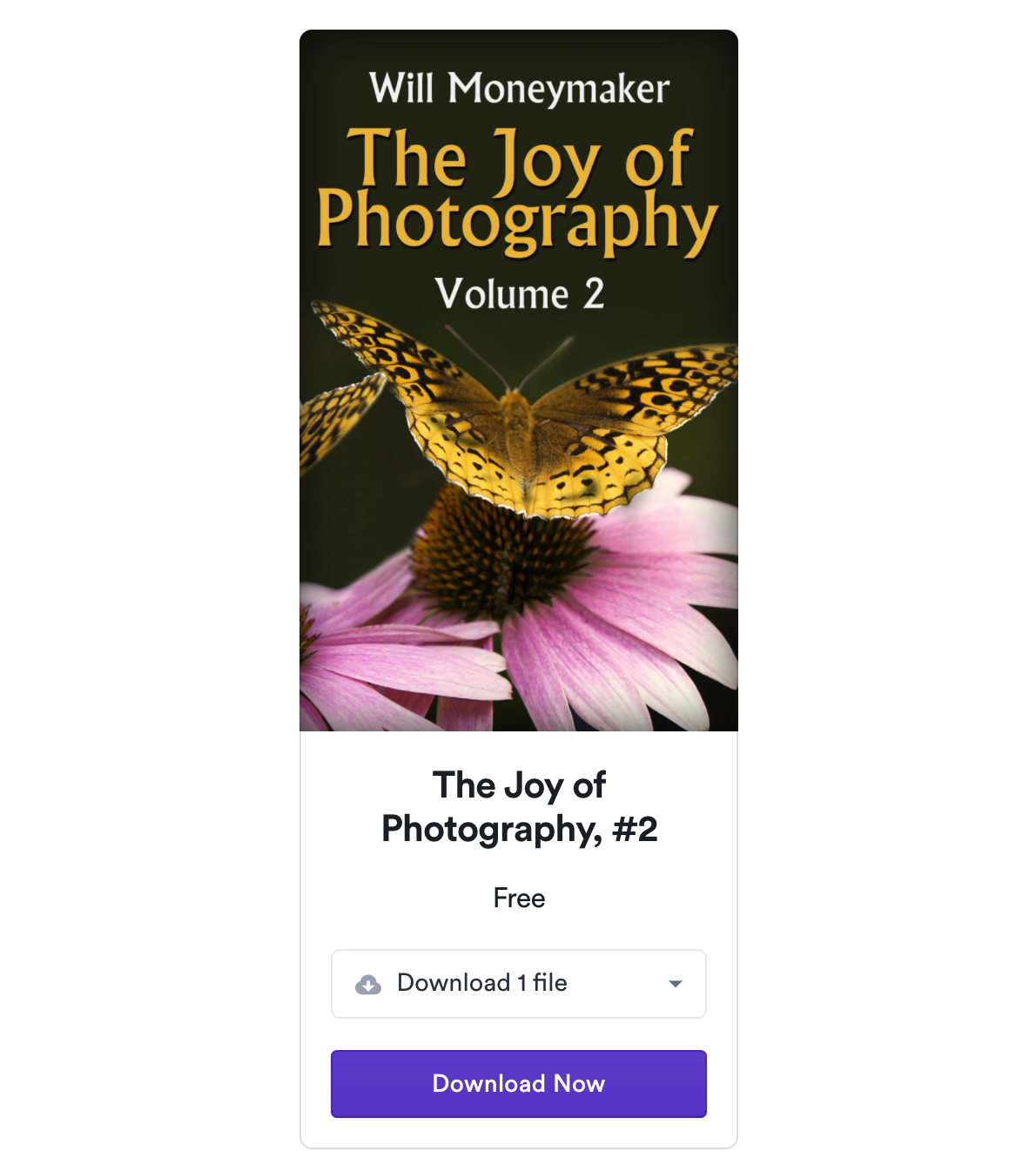 The Joy of Photography #2