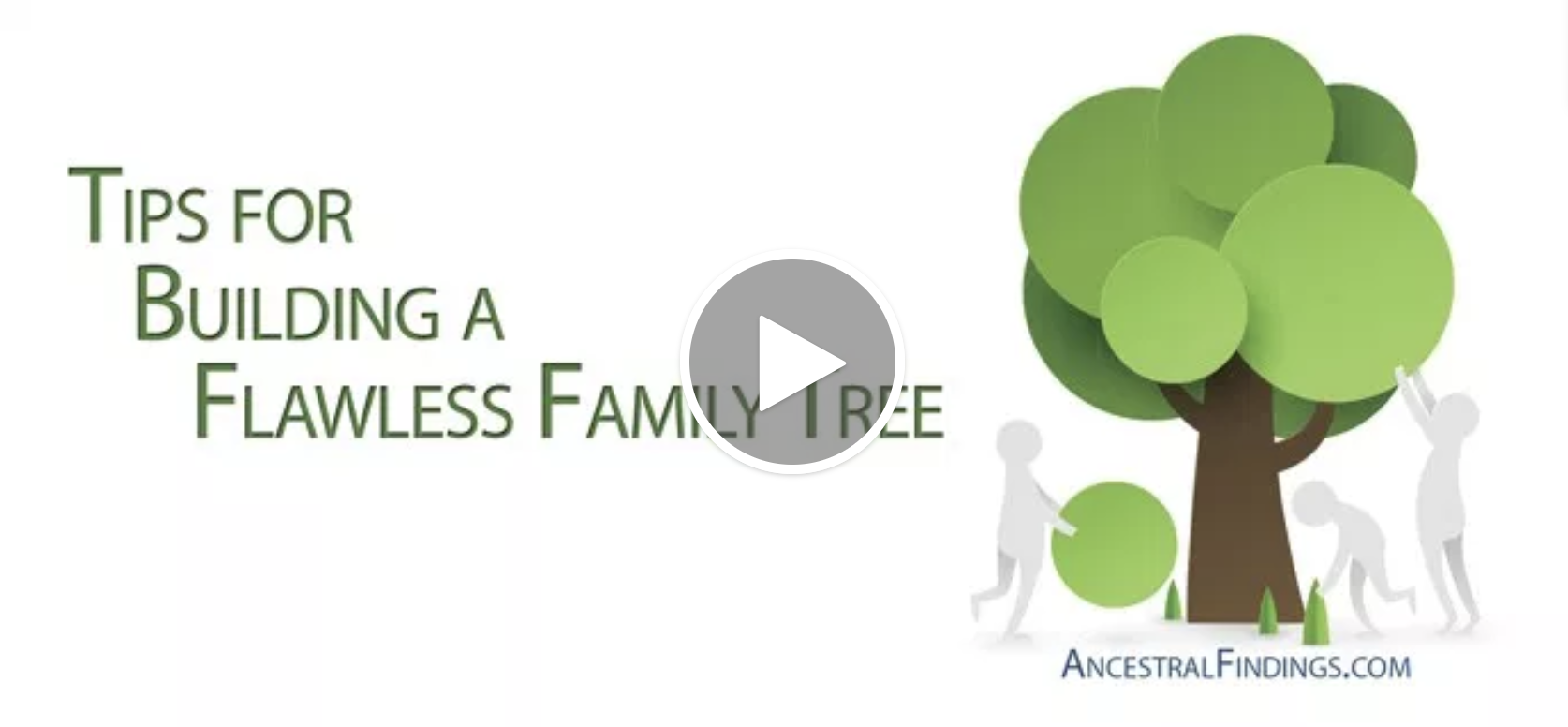 Tips for Building a Flawless Family Tree