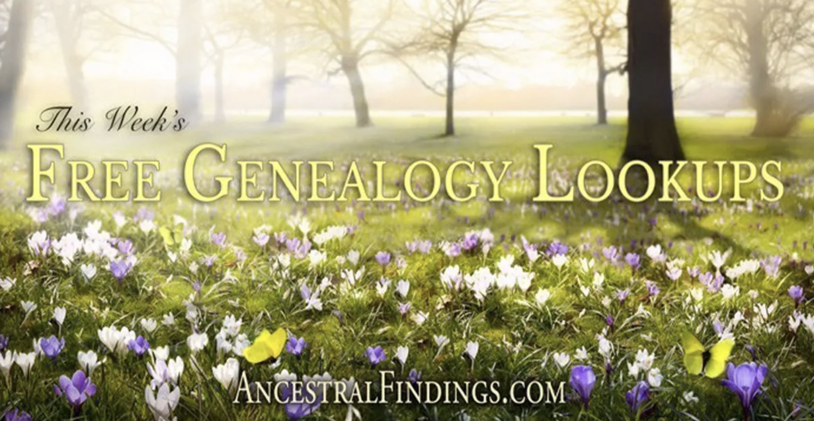 This Week’s Free Genealogy Lookups
