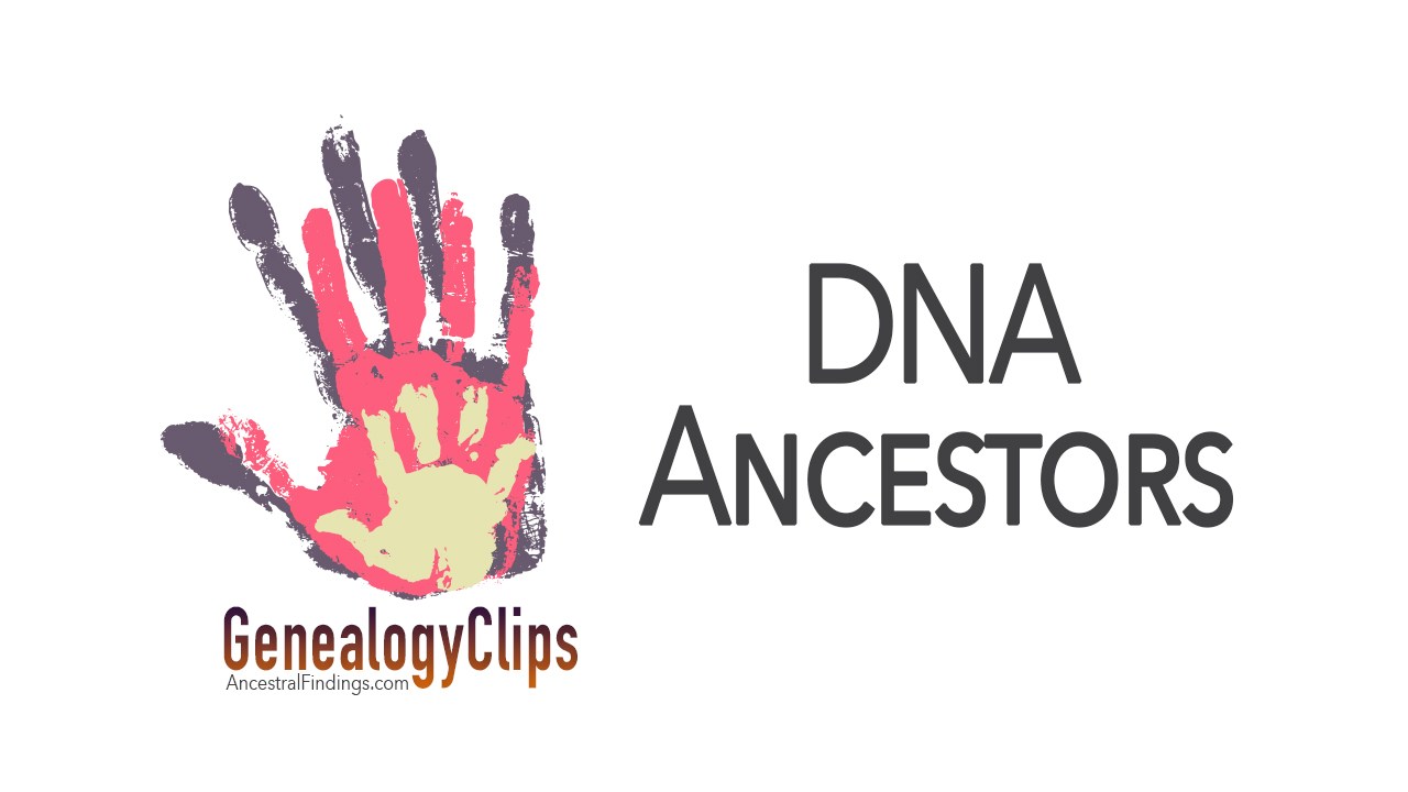 Y-DNA and mt-DNA, and How They Can Help You Trace Your Ancestors