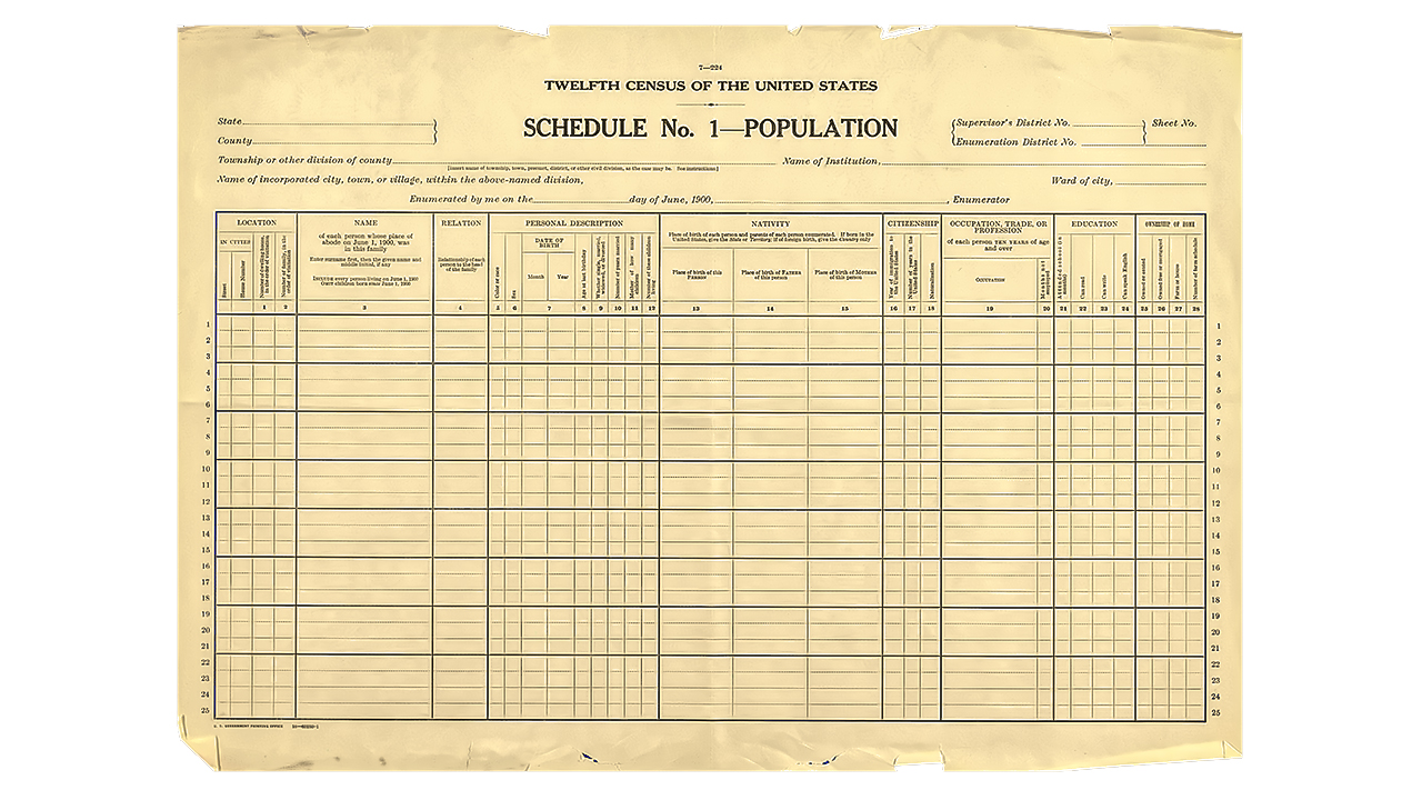 The 1900 US Federal Census: A Closer Look