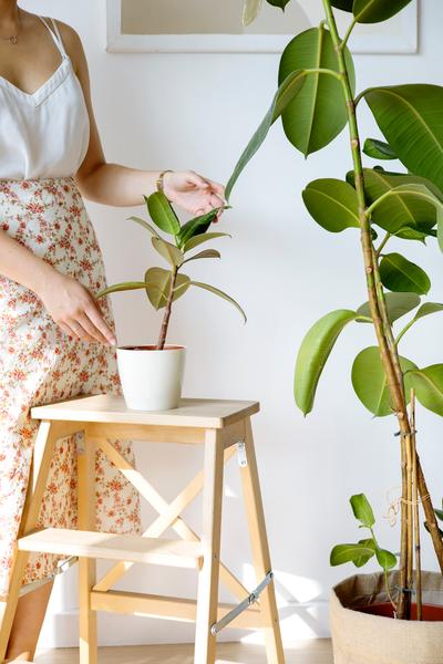 Woman standing near two houseplants