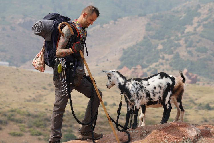 Picture of Jim Naron hiking with two Nigerian dwarf goats.